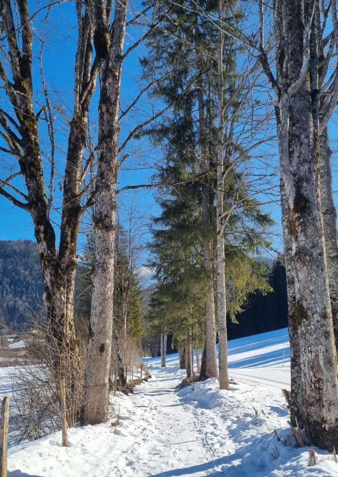 Appartamento Bio Bauernhof Geisl Sankt Ulrich am Pillersee Esterno foto